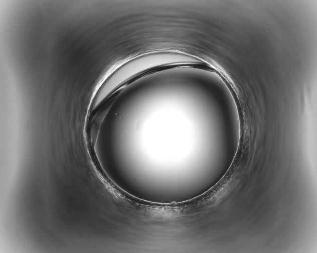 X0000085300901200703161431