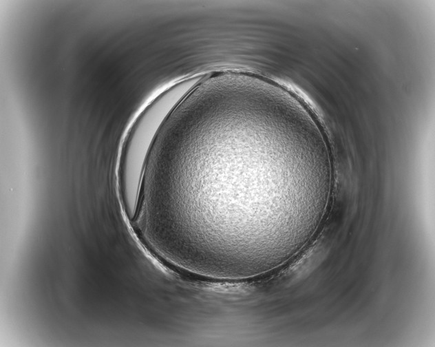 X0000085300902200703161431