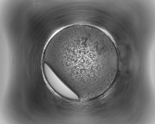 X0000085300903200703161431