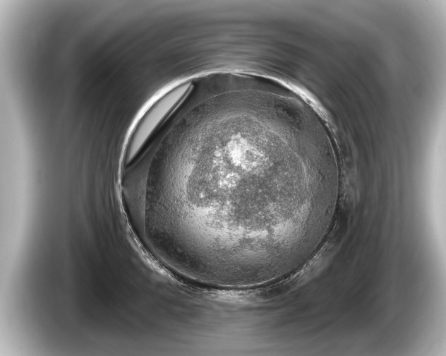 X0000085300904200703161431