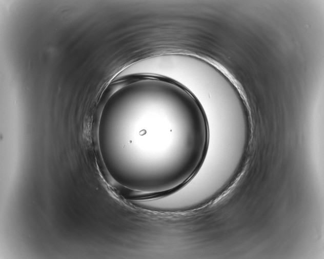 X0000085300905200703161431