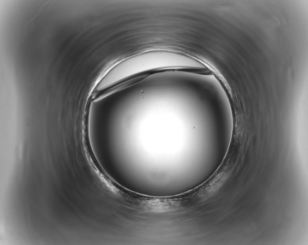 X0000085300906200703161431