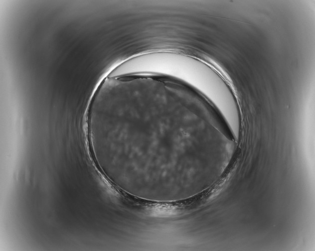 X0000085300907200703161431