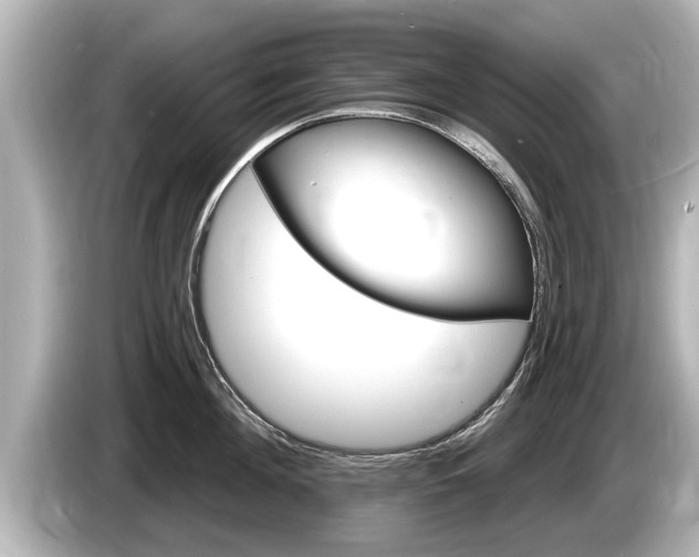 X0000085300908200703161431