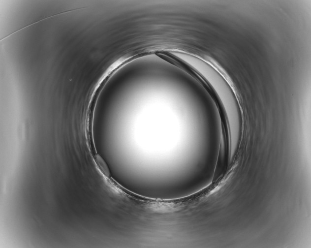 X0000085300909200703161431