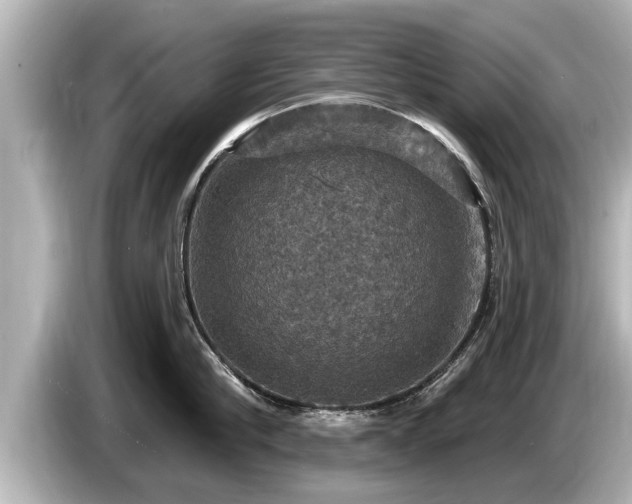 X0000085300910200703161431