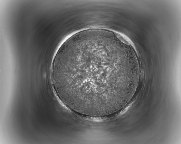 X0000085300911200703161431