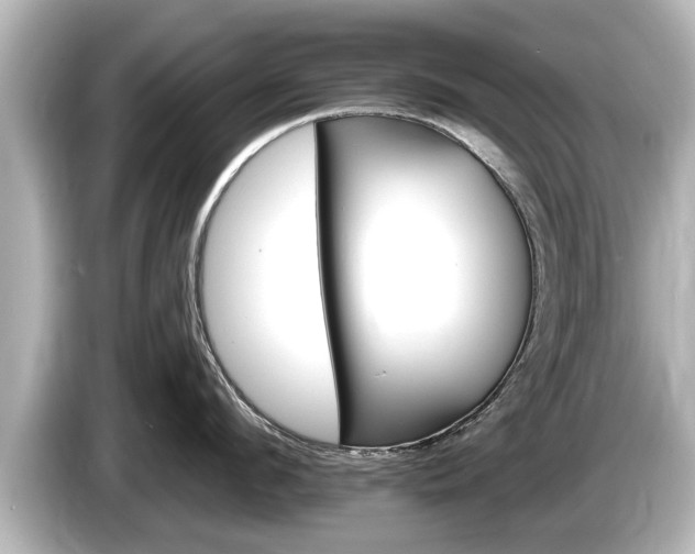 X0000085300912200703161431