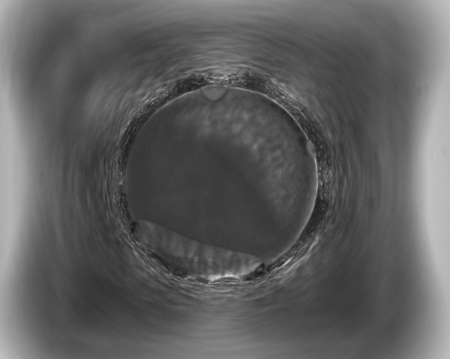 X0000085300913200703161431