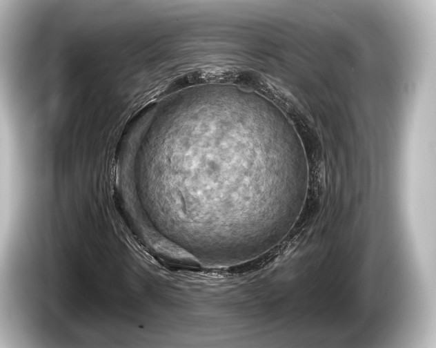 X0000085300914200703161431