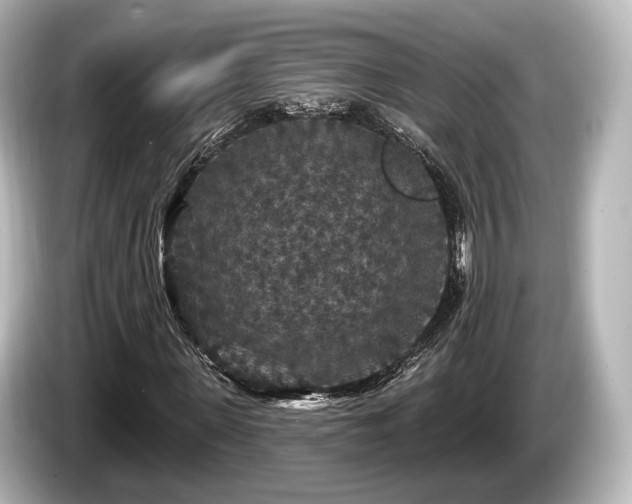 X0000085300915200703161431