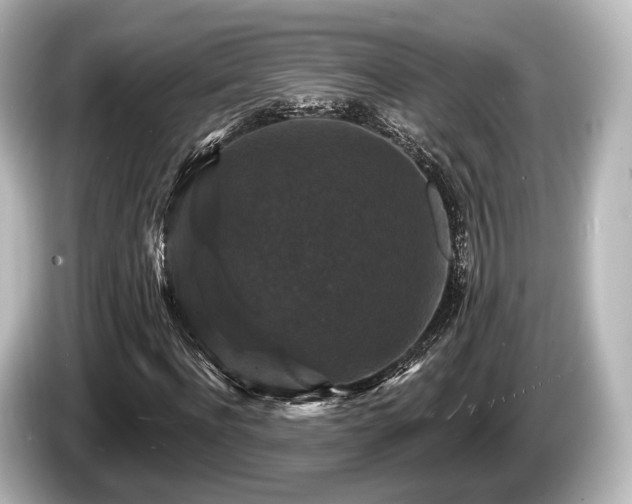 X0000085300916200703161431