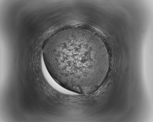 X0000085300917200703161431