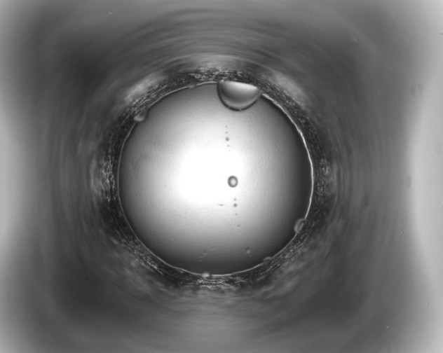 X0000085300918200703161431