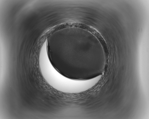 X0000085300919200703161431