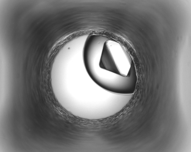 X0000085300920200703161431