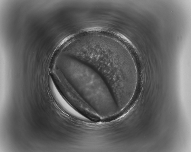 X0000085300921200703161431