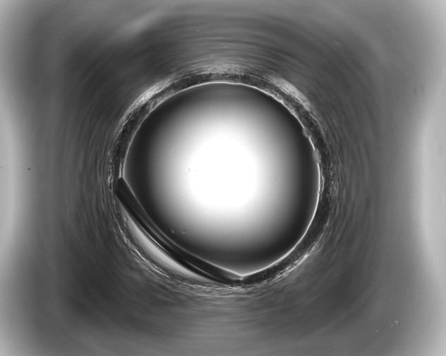 X0000085300922200703161431