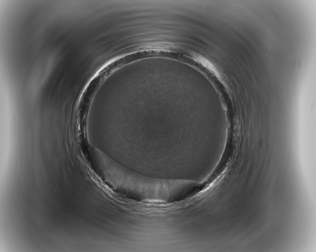 X0000085300923200703161431