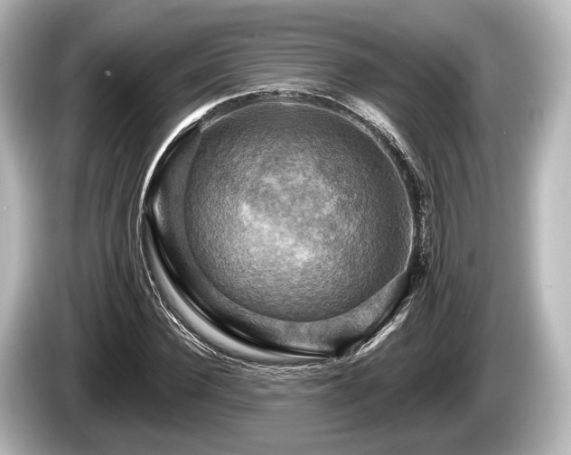 X0000085300924200703161431