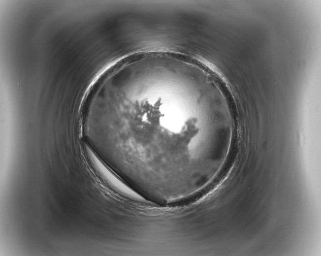 X0000085300925200703161431