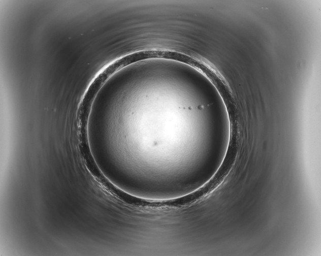 X0000085300926200703161431