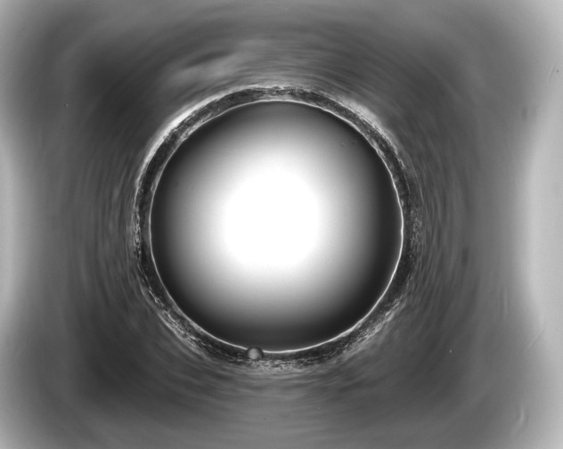 X0000085300927200703161431