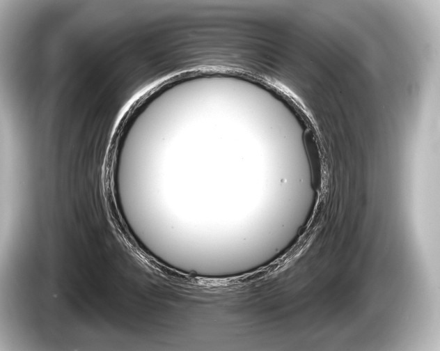 X0000085300928200703161431