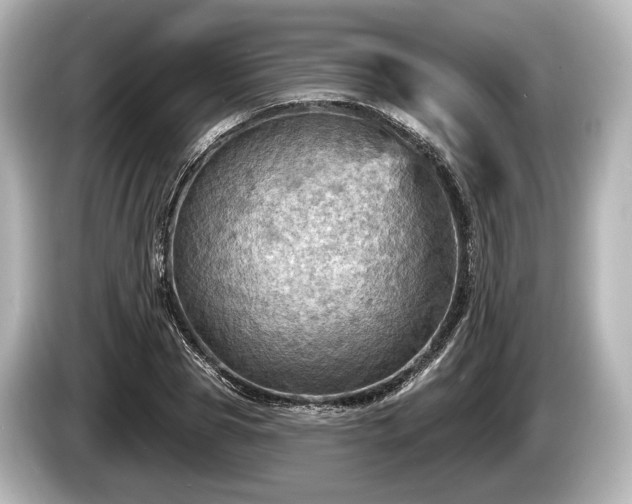 X0000085300929200703161431