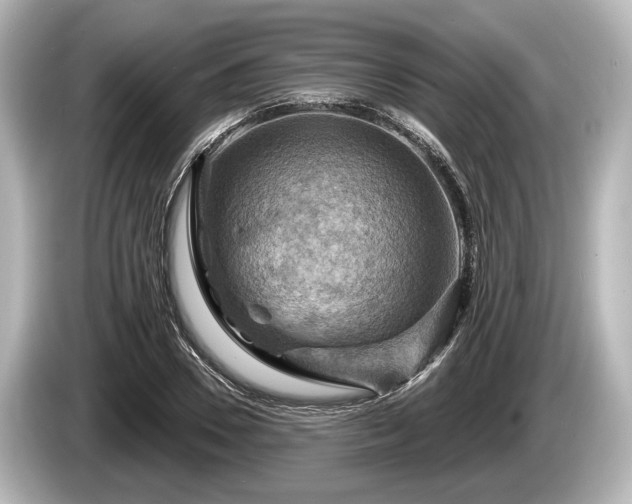 X0000085300930200703161431