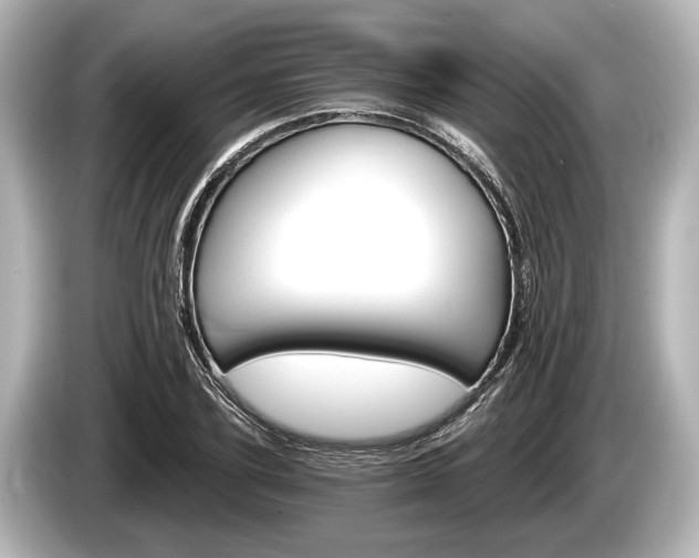 X0000085300931200703161431