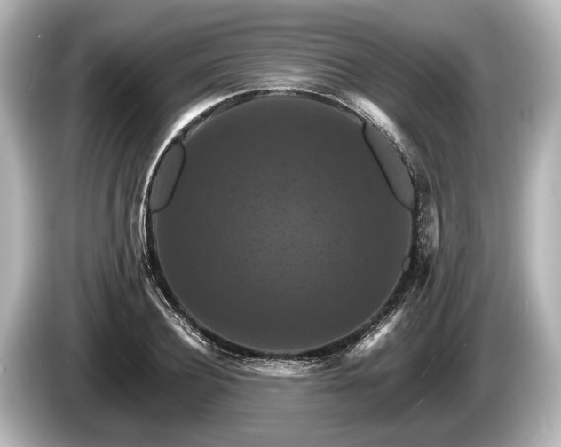 X0000085300932200703161431