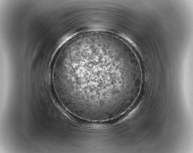 X0000085300933200703161431