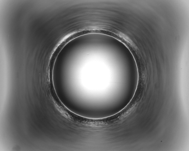 X0000085300934200703161431