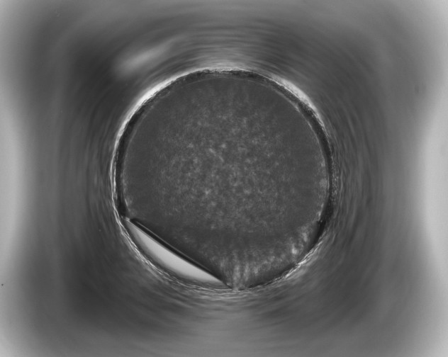 X0000085300935200703161431