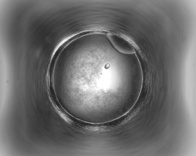 X0000085300936200703161431