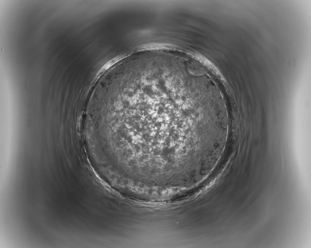 X0000085300937200703161431