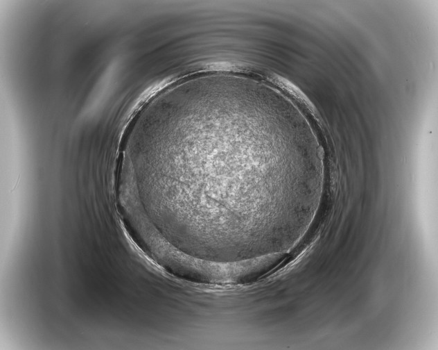 X0000085300938200703161431