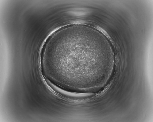 X0000085300939200703161431