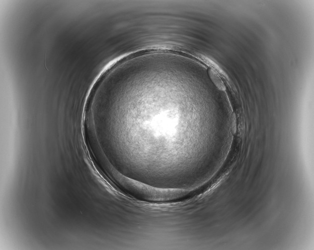 X0000085300940200703161431