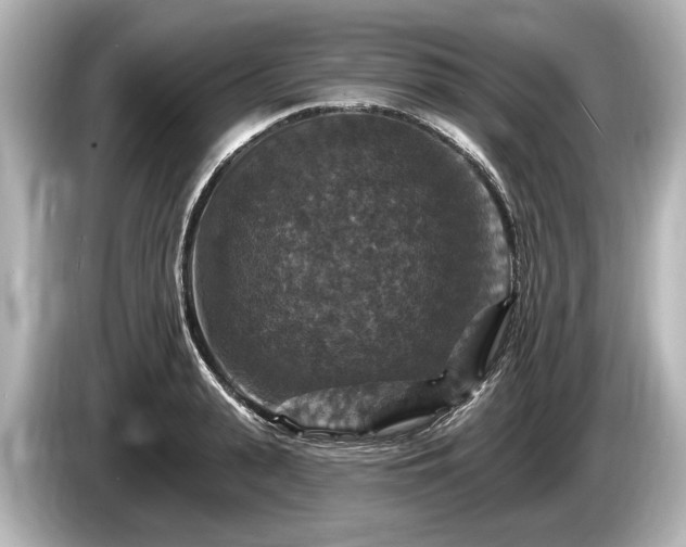 X0000085300943200703161431