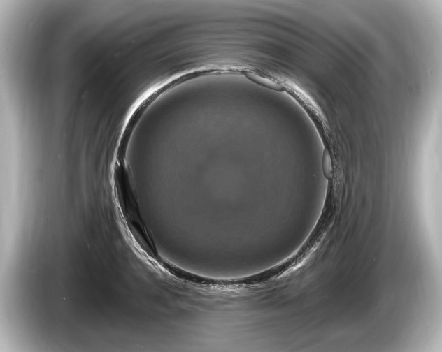 X0000085300944200703161431