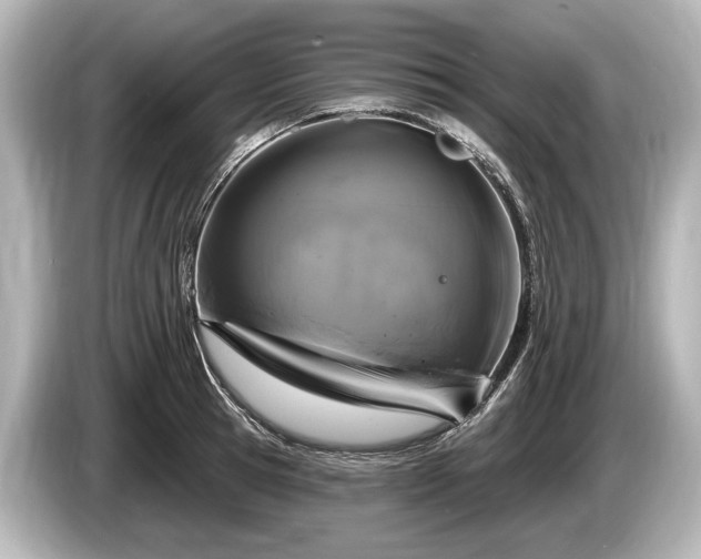 X0000085300945200703161431