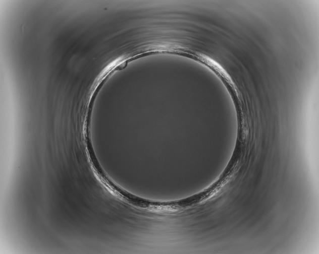 X0000085300946200703161431