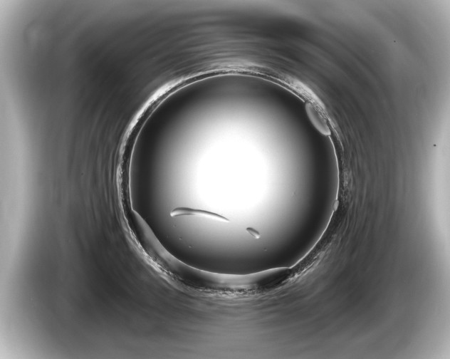 X0000085300947200703161431