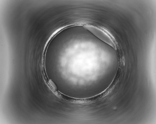 X0000085300948200703161431