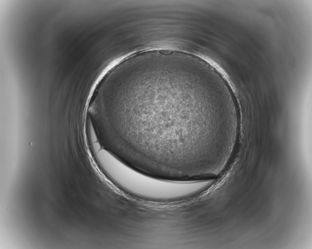 X0000085300949200703161431