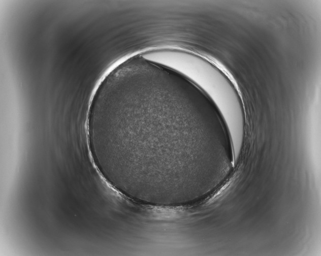 X0000085300951200703161431