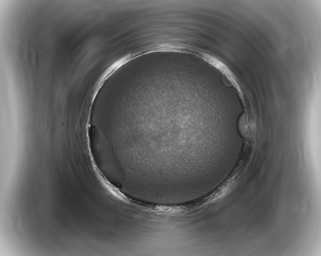 X0000085300954200703161431