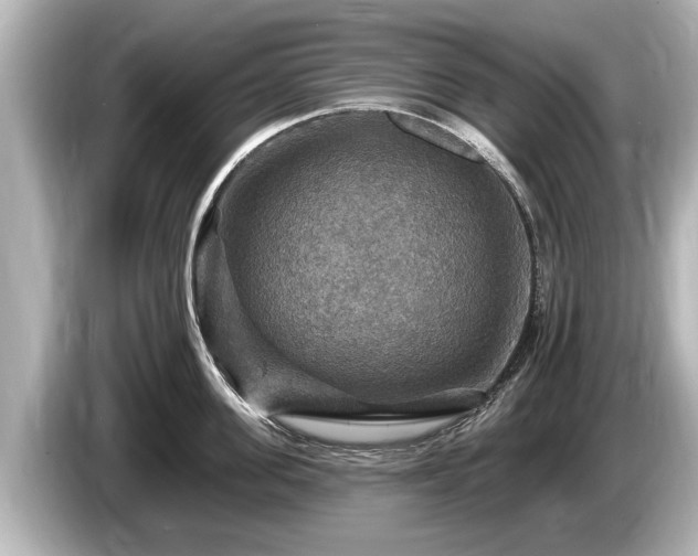 X0000085300955200703161431